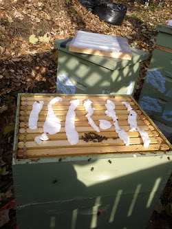 The frosted top of Boatmurdered, with more fondant waiting in the distance