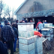 People in line to pick up packages of bees